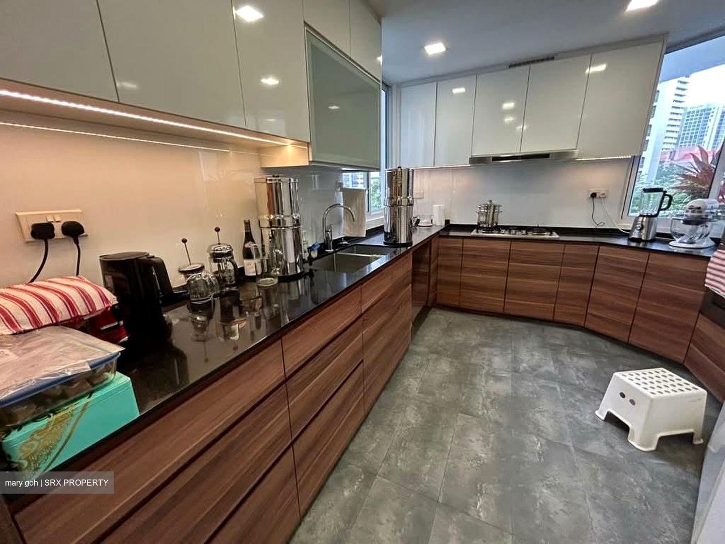 Elizabeth Heights (D9), Condominium #558882211